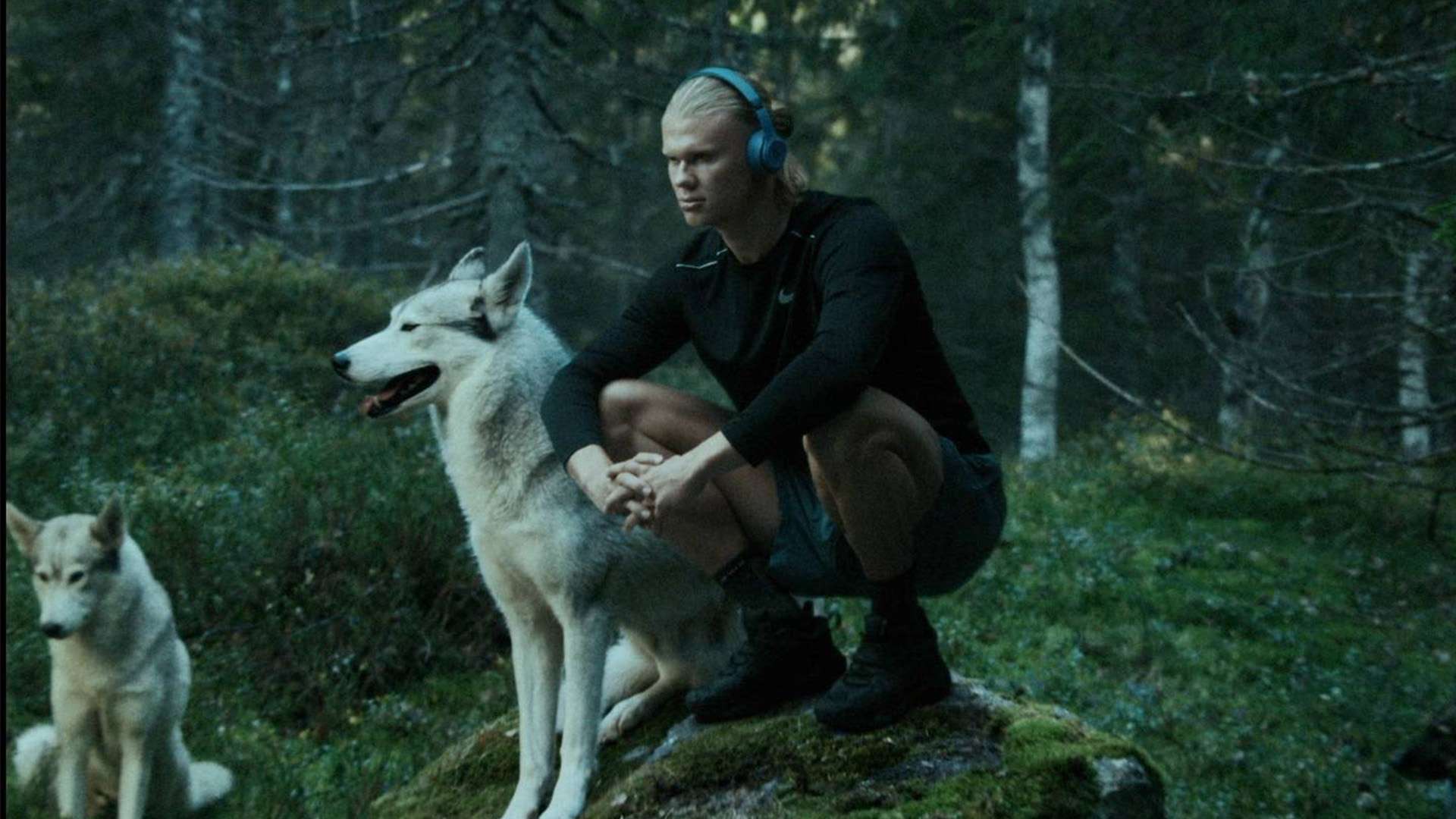 的家庭生活 的家庭生活