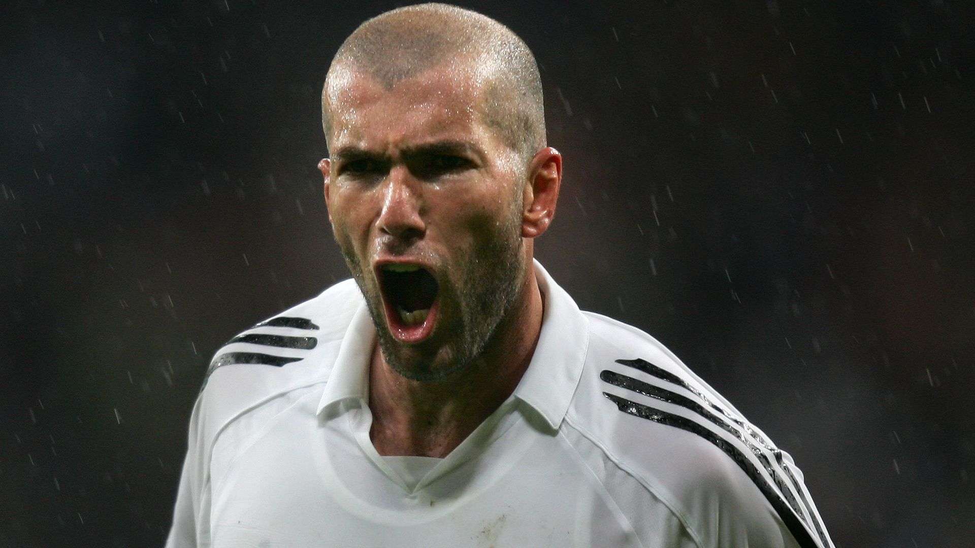 也成为许多 也成为许多